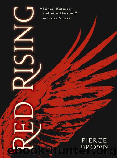 Red Rising 01 - Red Rising by Brown Pierce