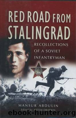 Red Road from Stalingrad by Mansur Abdulin