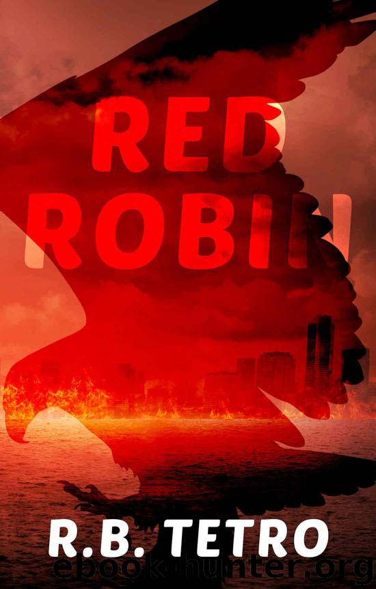 Red Robin: Post-Apocalyptic America by R.B. Tetro