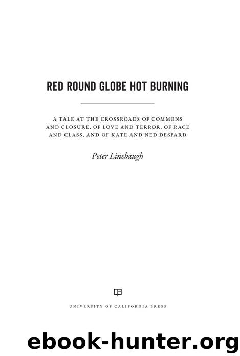 Red Round Globe Hot Burning by Peter Linebaugh;