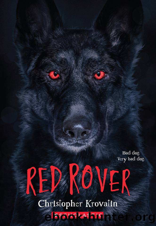 Red Rover by Christopher Krovatin