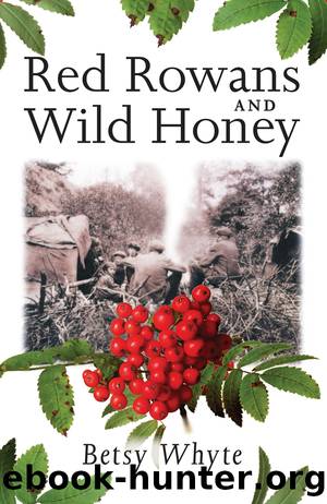 Red Rowans and Wild Honey by Betsy Whyte