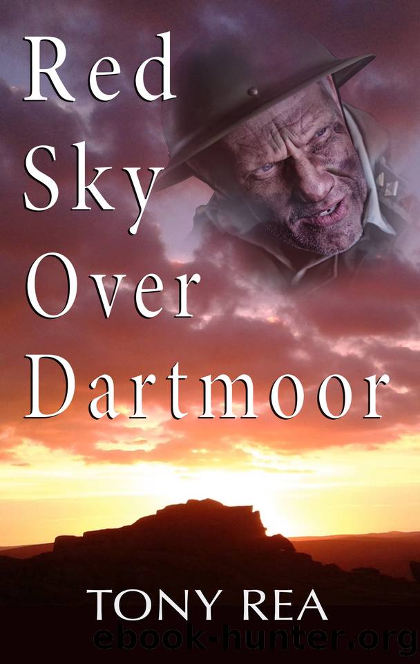 Red Sky Over Dartmoor by Rea Tony
