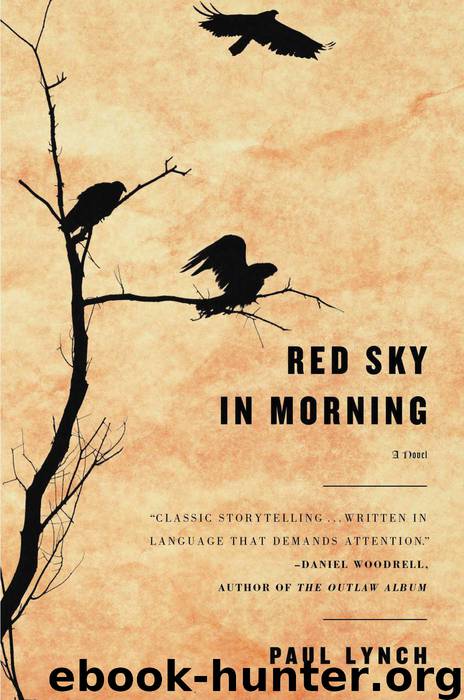 Red Sky in Morning by Paul Lynch