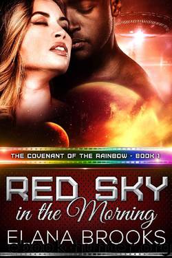 Red Sky in the Morning (The Covenant of the Rainbow Book 1) by Elana Brooks