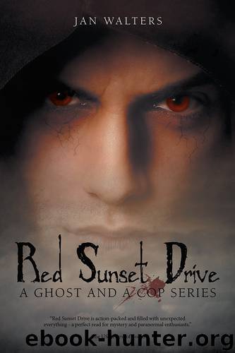 Red Sunset Drive by Jan Walters
