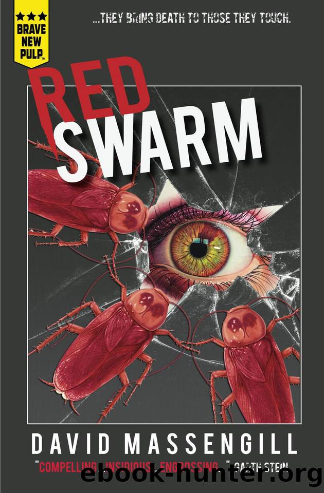 Red Swarm by Massengill David
