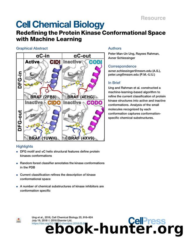 Redefining the Protein Kinase Conformational Space with Machine Learning by Peter Man-Un Ung & Rayees Rahman & Avner Schlessinger