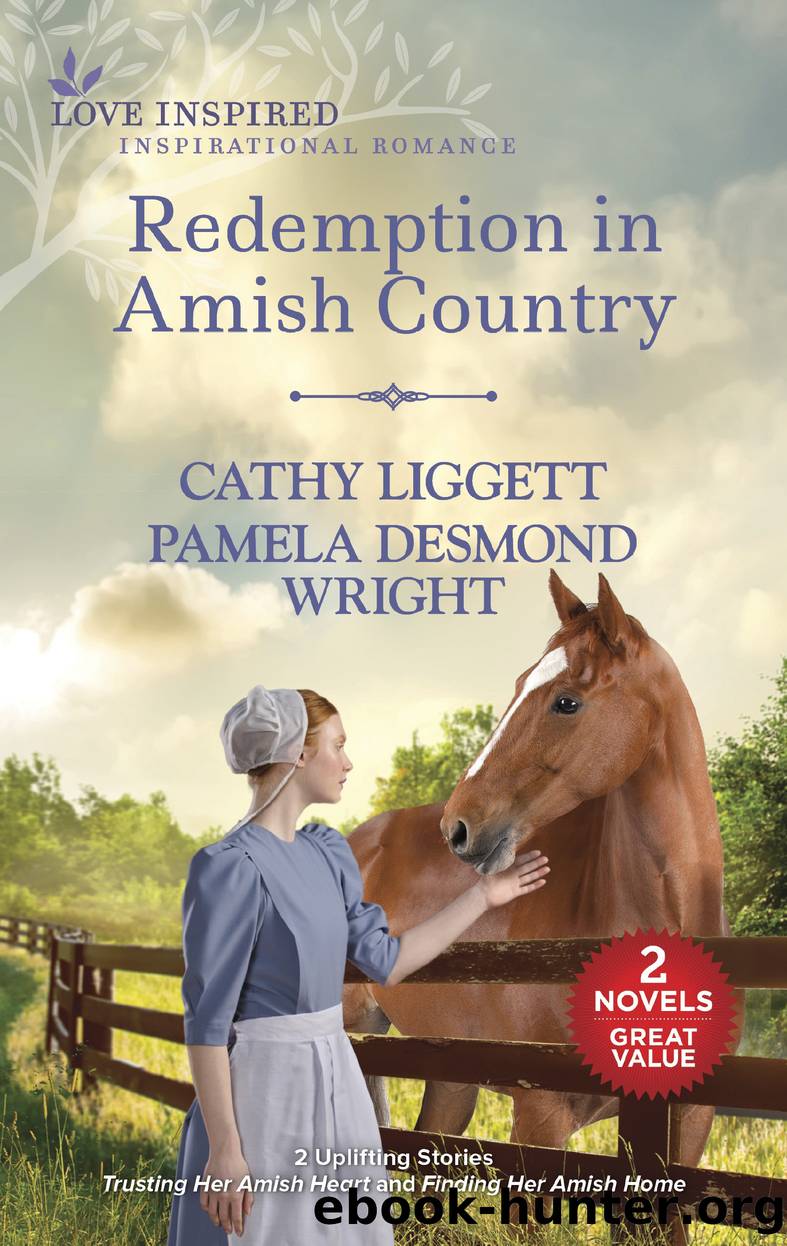 Redemption in Amish Country by Cathy Liggett