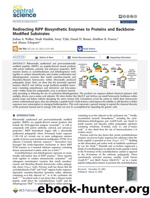 Redirecting RiPP Biosynthetic Enzymes to Proteins and Backbone-Modified Substrates by unknow