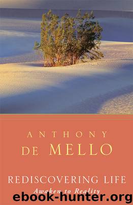 Rediscovering Life: Awaken to Reality by Anthony de Mello