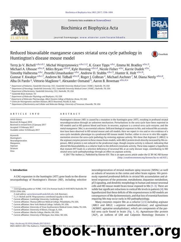 Reduced bioavailable manganese causes striatal urea cycle pathology in Huntington's disease mouse model by unknow
