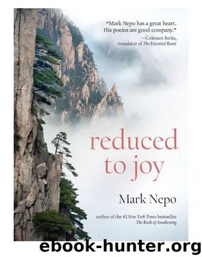Reduced to Joy by Mark Nepo