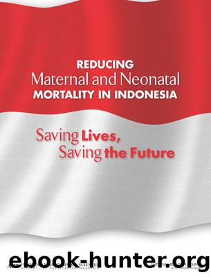 Reducing Maternal and Neonatal Mortality in Indonesia: Saving Lives, Saving the Future by Joint Committee on Reducing Maternal & Neonatal Mortality in Indonesia