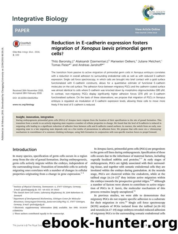 Reduction in E-cadherin expression fosters migration of Xenopus laevis primordial germ cells by unknow