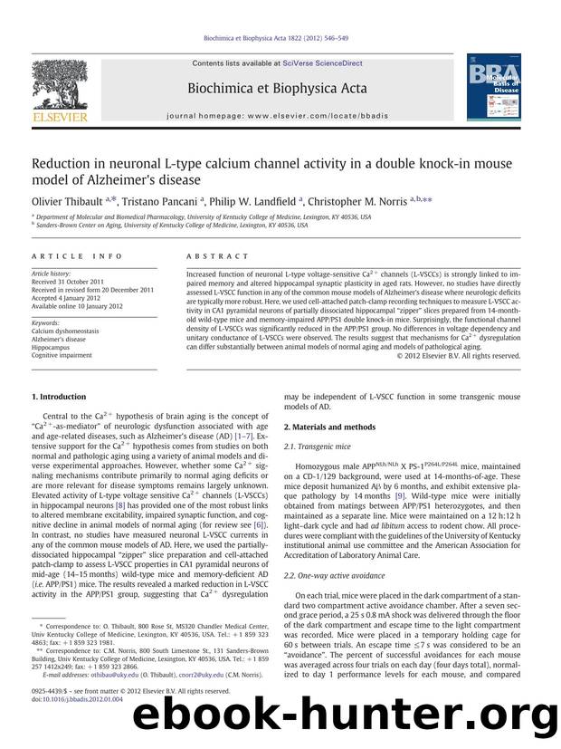 Reduction in neuronal L-type calcium channel activity in a double knock-in mouse model of Alzheimer's disease by Olivier Thibault & Tristano Pancani & Philip W. Landfield & Christopher M. Norris