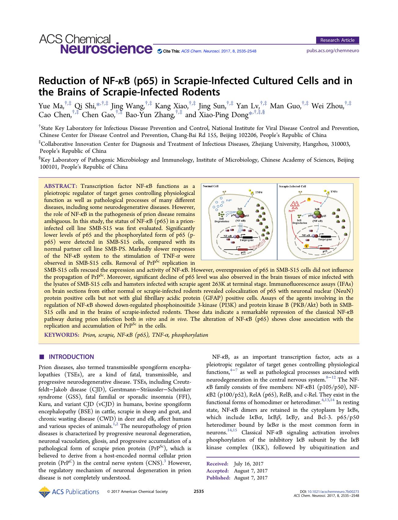 Reduction of NF-ÎºB (p65) in Scrapie-Infected Cultured Cells and in the Brains of Scrapie-Infected Rodents by unknow
