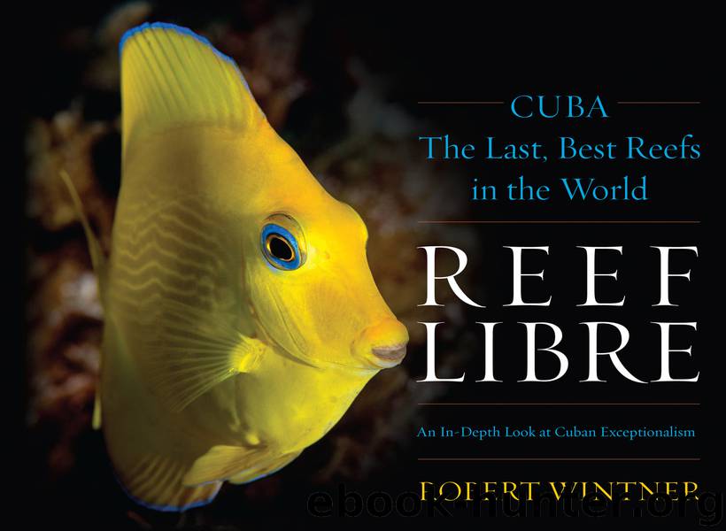 Reef Libre by Robert Wintner