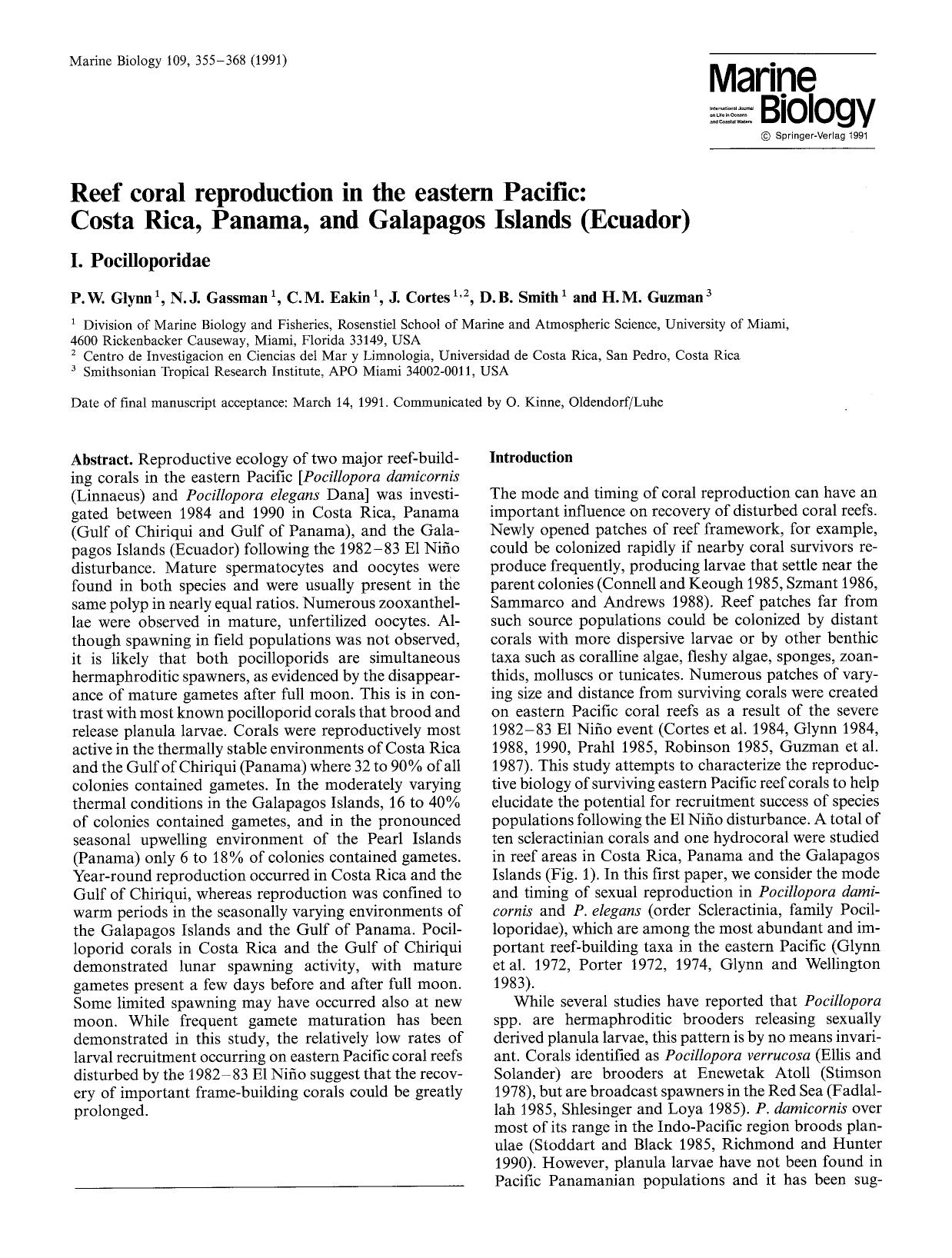 Reef coral reproduction in the eastern Pacific: Costa Rica, Panama, and Galapagos Islands (Ecuador) by Unknown