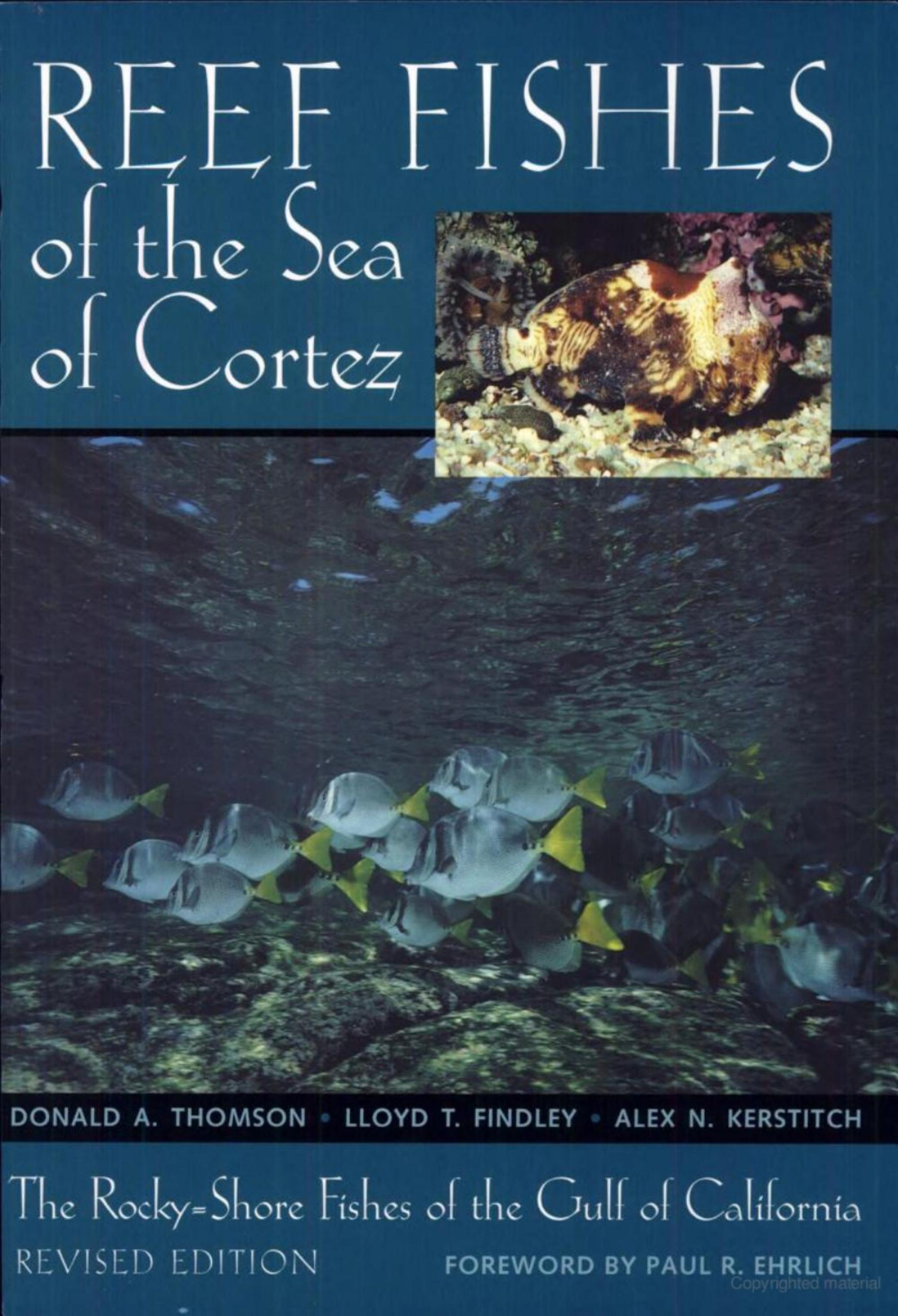 Reef fishes of the Sea of Cortez by By Donald A. Thomson Lloyd T. Findley Alex N. Kerstitch