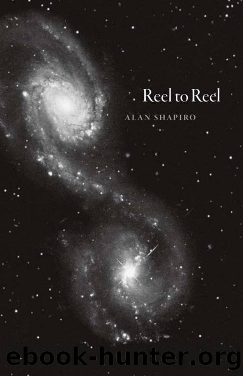 Reel to Reel by Shapiro Alan