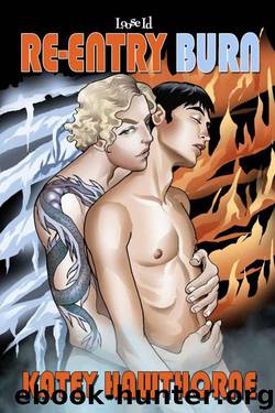 Reentry Burn (Superpowered Love) by Hawthorne Katey