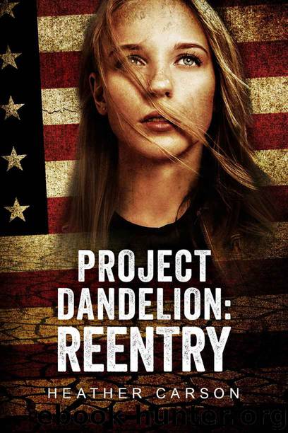 Reentry by Heather Carson