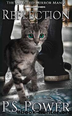 Reflection by P S Power