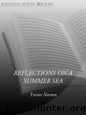 Reflections On a Summer Sea by Trevor Norton