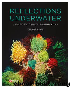 Reflections Underwater by Degany Oded;