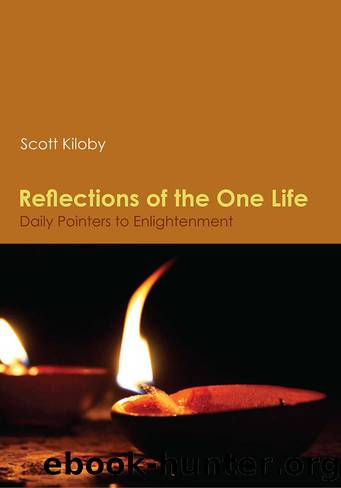 Reflections of the One Life by Scott Kiloby