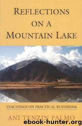 Reflections on a Mountain Lake: Teachings on Practical Buddhism by Ani Tenzin Palmo