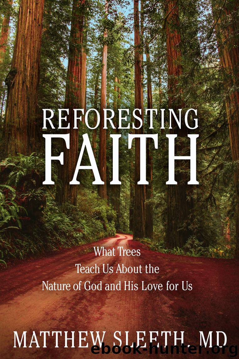 Reforesting Faith by Matthew Sleeth
