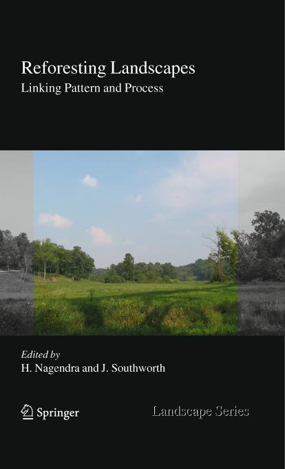 Reforesting Landscapes: Linking Pattern and Process by Jane Southworth Harini Nagendra (auth.) Harini Nagendra Jane Southworth (eds.)