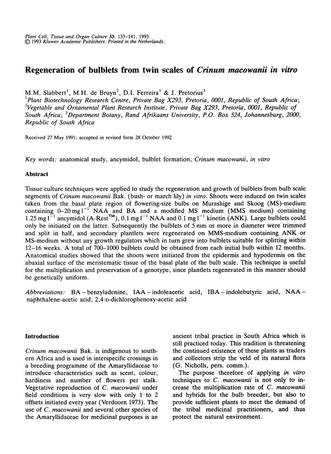 Regeneration of bulblets from twin scales of <Emphasis Type="Italic">Crinum macowanii in vitro <Emphasis> by Unknown