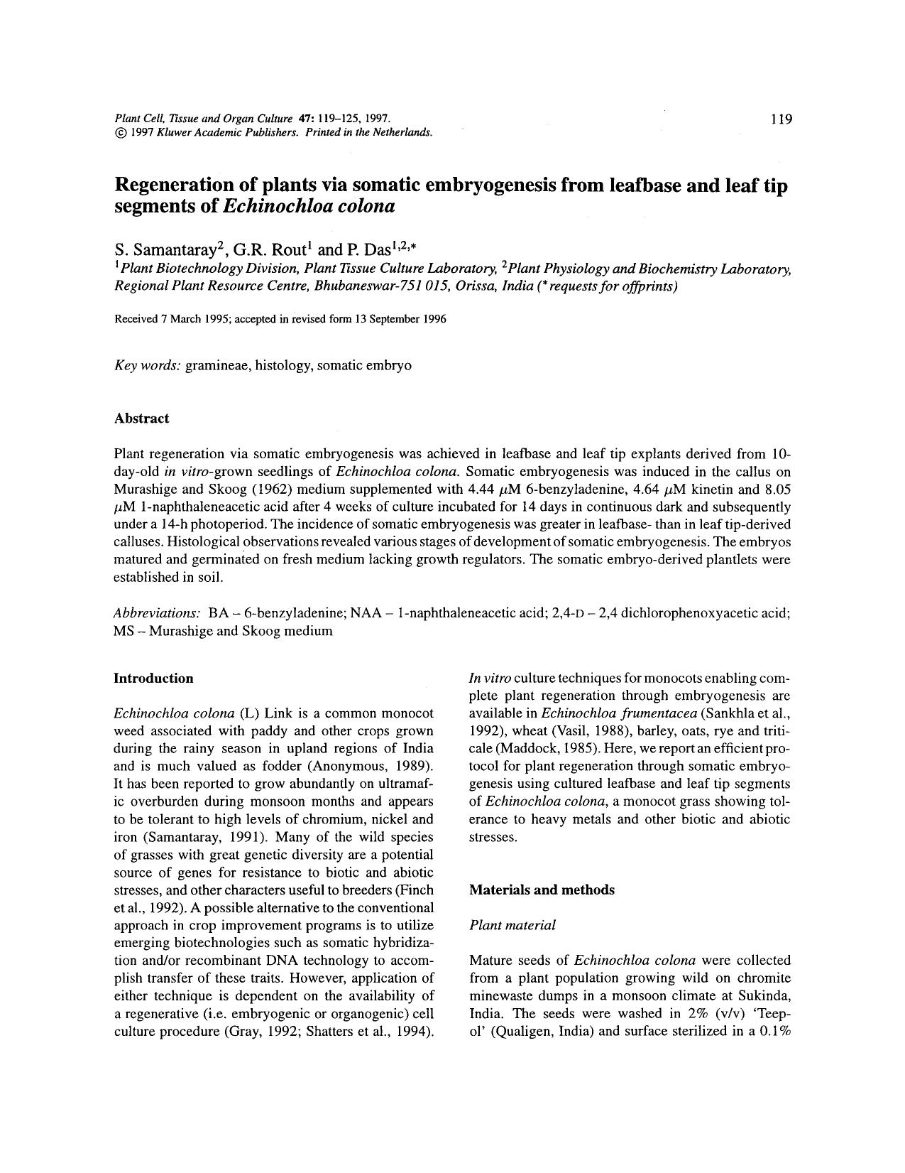 Regeneration of plants via somatic embryogenesis from leafbase and leaf tip segments of <Emphasis Type="Italic">Echinochloa colona <Emphasis> by Unknown