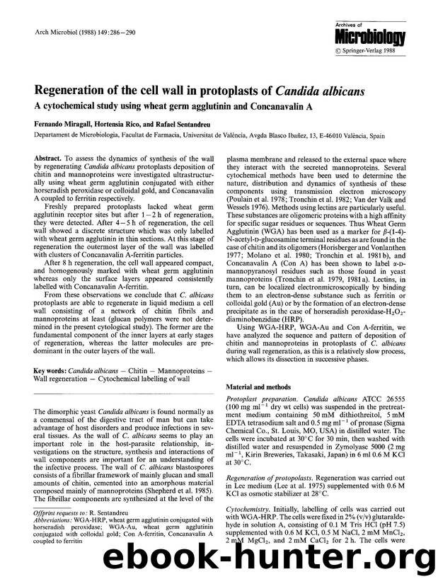 Regeneration of the cell wall in protoplasts of <Emphasis Type="Italic">Candida albicans<Emphasis> by Unknown