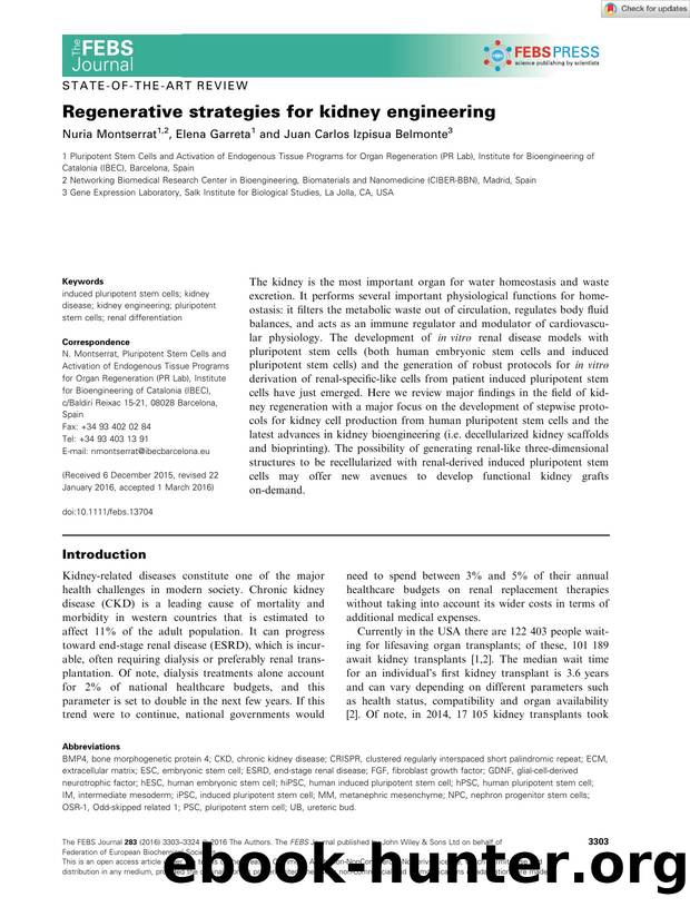 Regenerative strategies for kidney engineering by Unknown