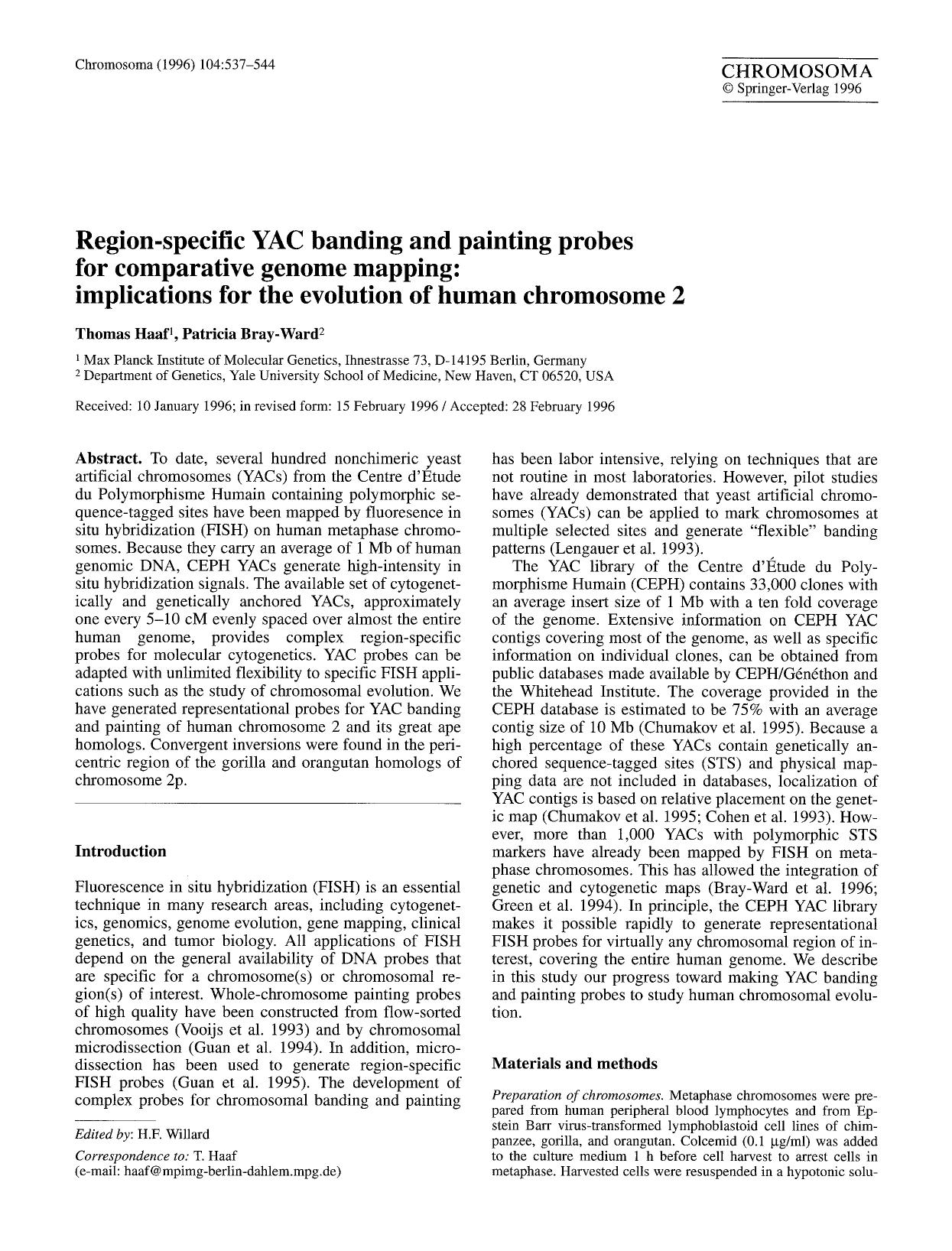 Region-specific YAC banding and painting probes for comparative genome mapping: implications for the evolution of human chromosome 2 by Unknown