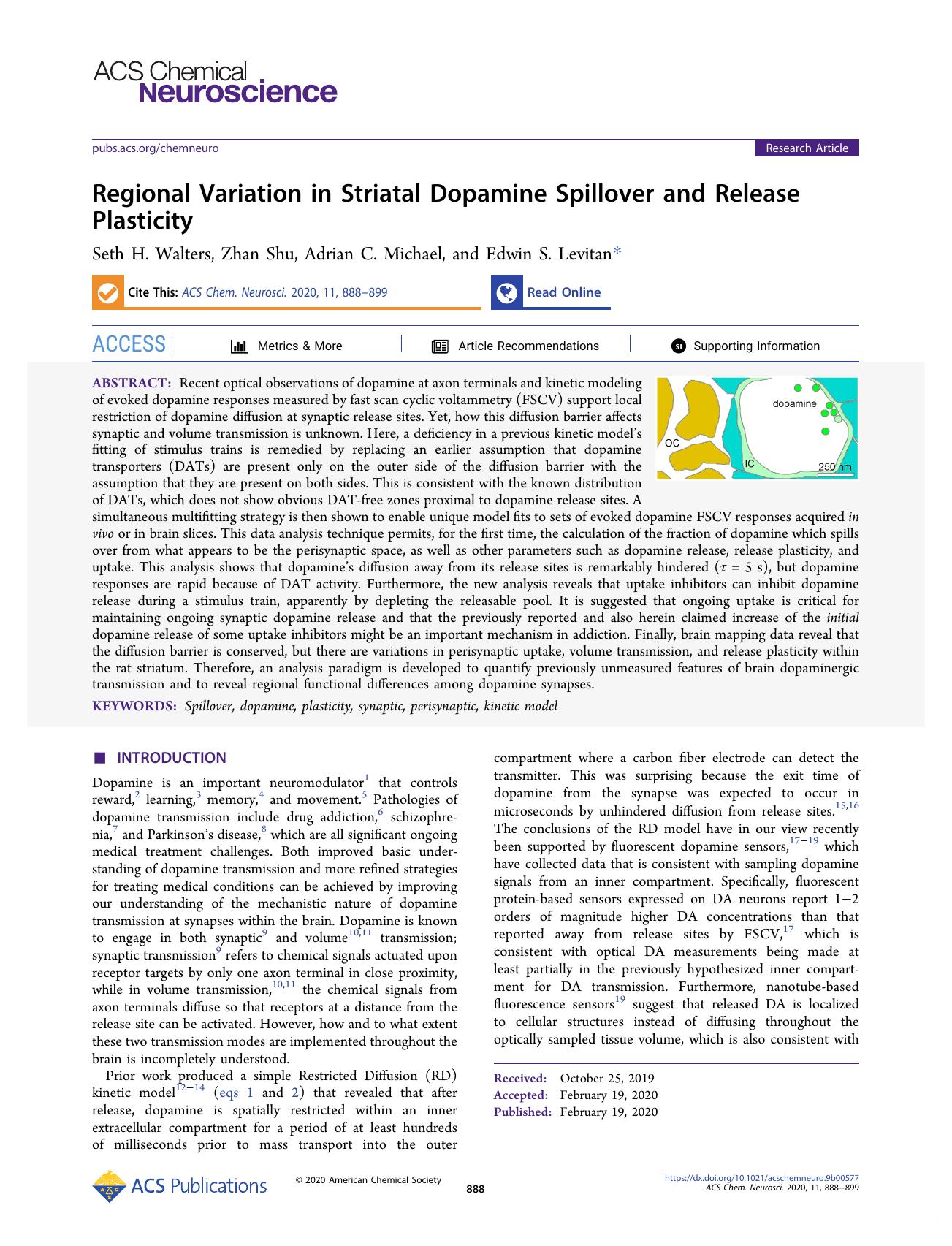 Regional Variation in Striatal Dopamine Spillover and Release Plasticity by Seth H. Walters Zhan Shu Adrian C. Michael and Edwin S. Levitan