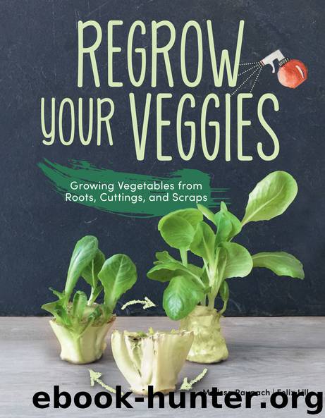 Regrow Your Veggies by Melissa Raupach & Felix Lill