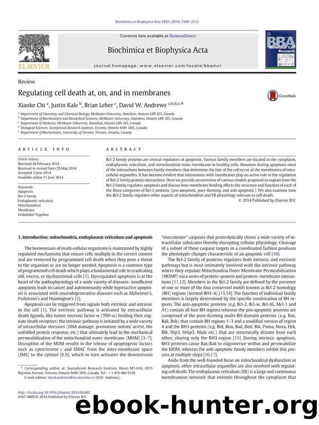 Regulating cell death at, on, and in membranes by Xiaoke Chi & Justin Kale & Brian Leber & David W. Andrews
