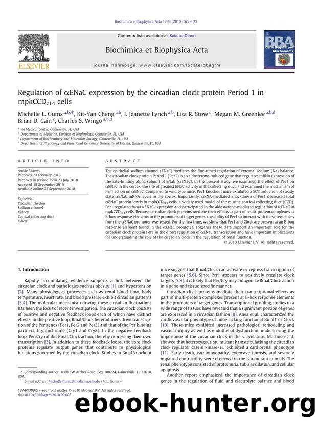 Regulation of Î±ENaC expression by the circadian clock protein Period 1 in mpkCCDc14 cells by Michelle L. Gumz