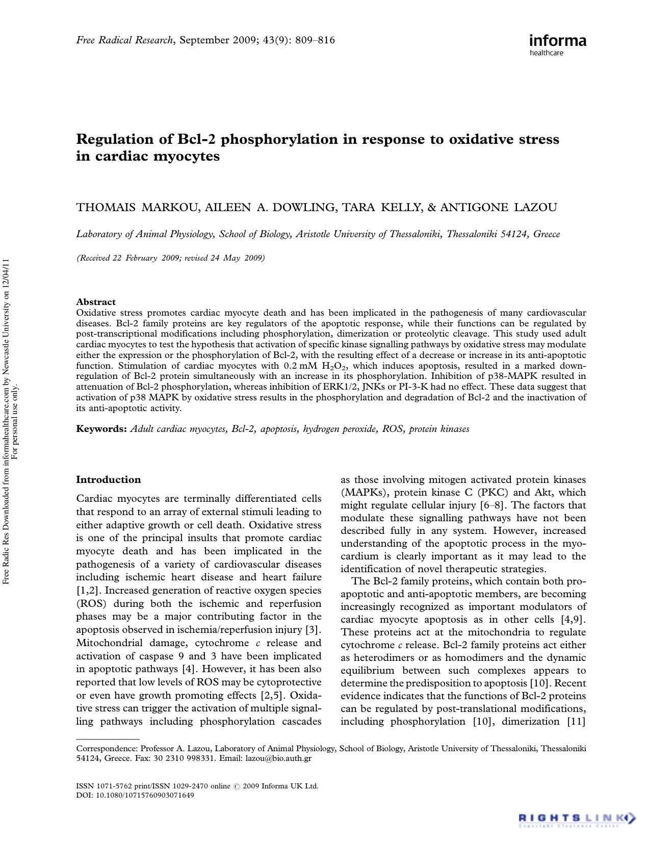 Regulation of Bcl-2 phosphorylation in response to oxidative stress in cardiac myocytes by Thomais Markou1 Aileen A. Dowling1 Tara Kelly1 Antigone Lazou1*
