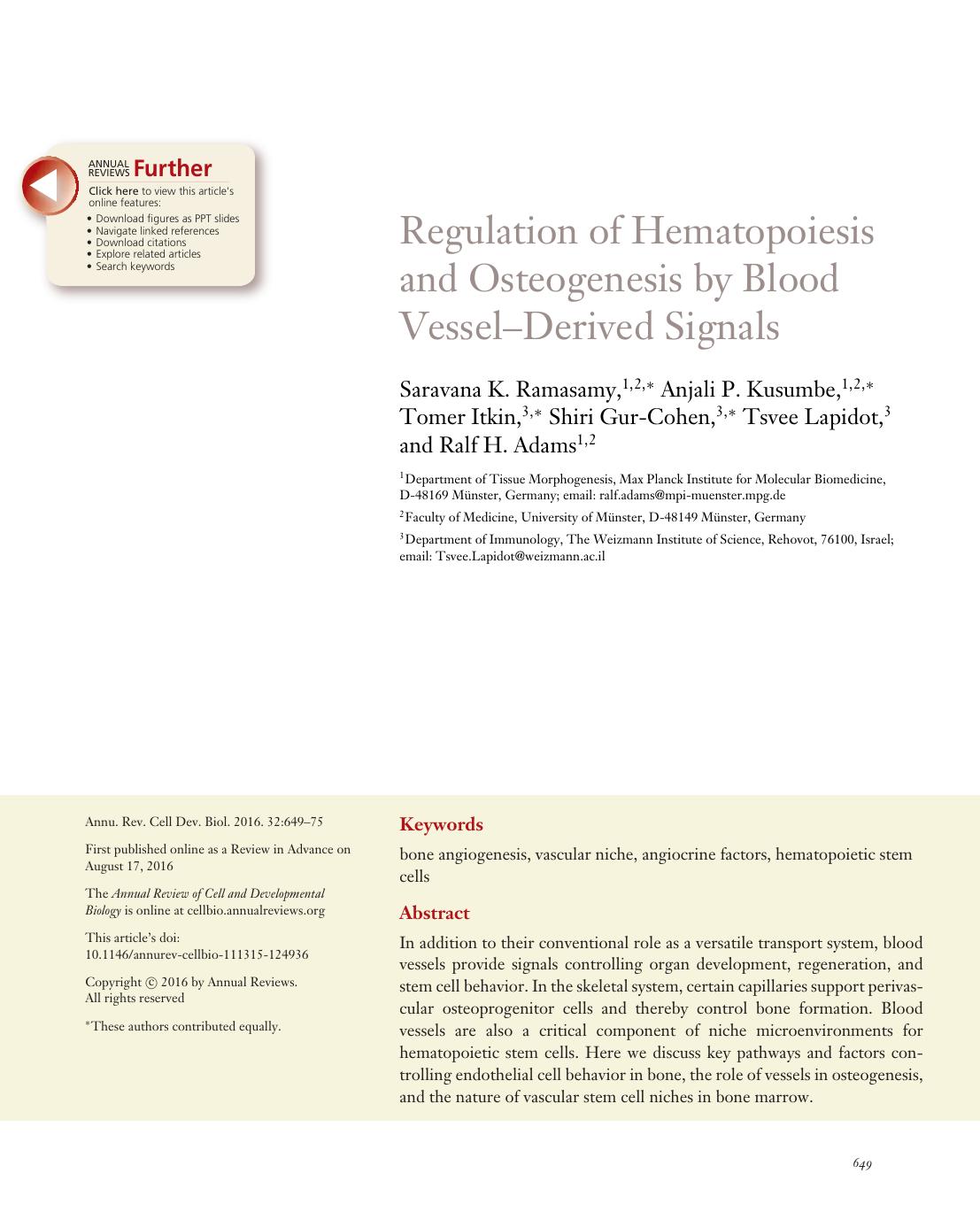 Regulation of Hematopoiesis and Osteogenesis by Blood VesselâDerived Signals by Saravana K. Ramasamy Anjali P. Kusumbe Tomer Itkin Shiri Gur-Cohen Tsvee Lapidot Ralf H. Adams