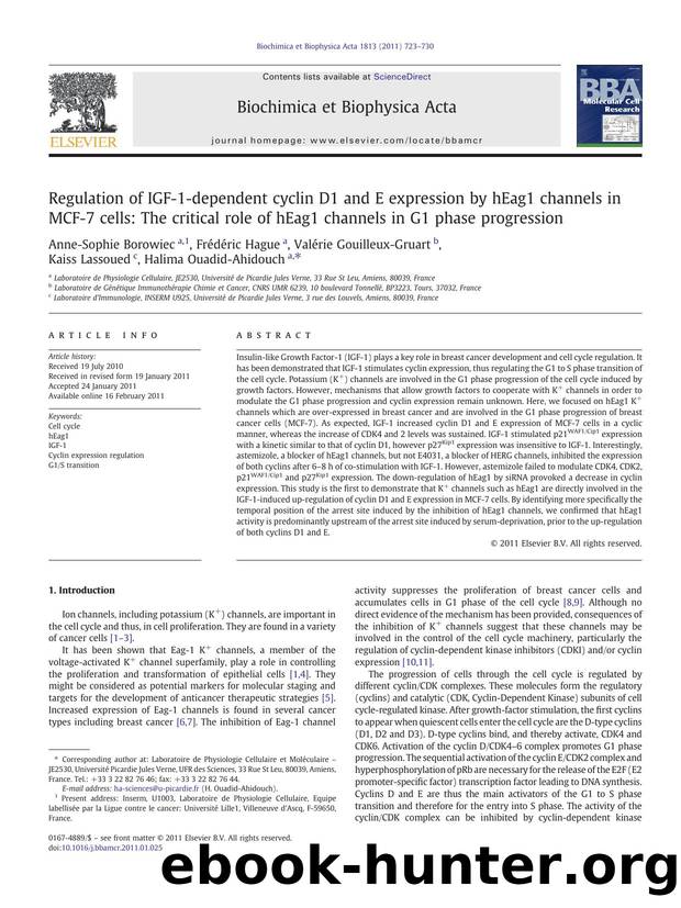 Regulation of IGF-1-dependent cyclin D1 and E expression by hEag1 channels in MCF-7 cells: The critical role of hEag1 channels in G1 phase progression by unknow