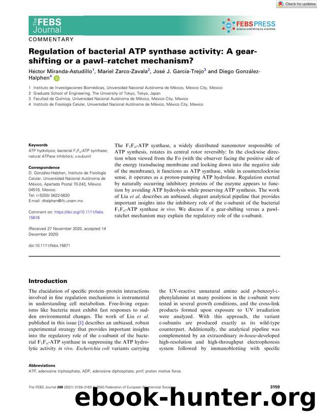 Regulation of bacterial ATP synthase activity: A gearâshifting or a pawlâratchet mechanism? by Unknown