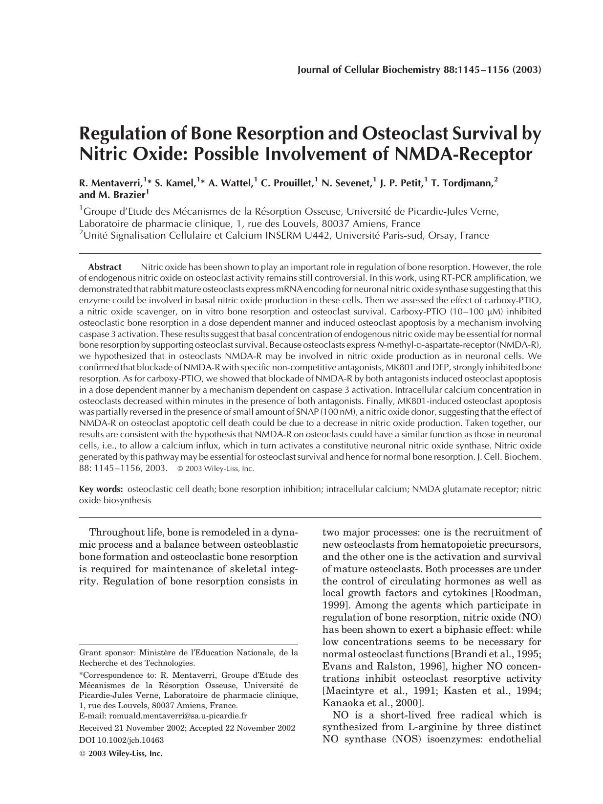 Regulation of bone resorption and osteoclast survival by nitric oxide: Possible involvement of NMDA-receptor by Unknown