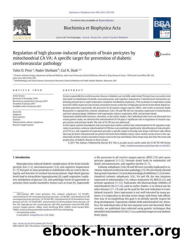 Regulation of high glucose-induced apoptosis of brain pericytes by mitochondrial CA VA: A specific target for prevention of diabetic cerebrovascular pathology by Tulin O. Price & Nader Sheibani & Gul N. Shah