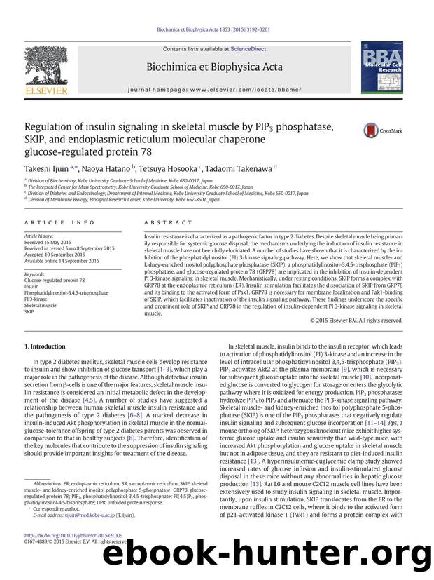 Regulation of insulin signaling in skeletal muscle by PIP3 phosphatase, SKIP, and endoplasmic reticulum molecular chaperone glucose-regulated protein 78 by Takeshi Ijuin & Naoya Hatano & Tetsuya Hosooka & Tadaomi Takenawa